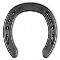 DS Quarterhorse Front
