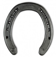 DS Quarterhorse Hind