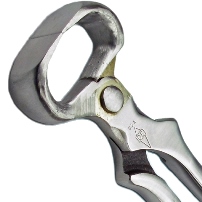 GE Forge  - 12