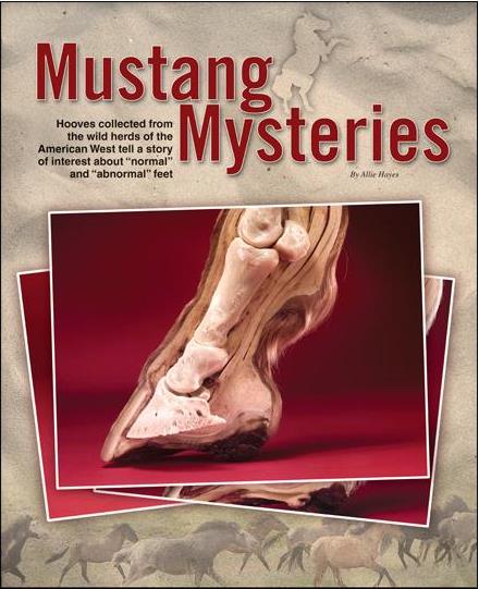 Mustang Mysteries