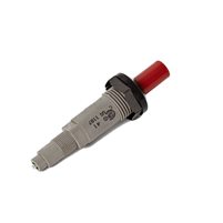 Pro Forge - Ignitor