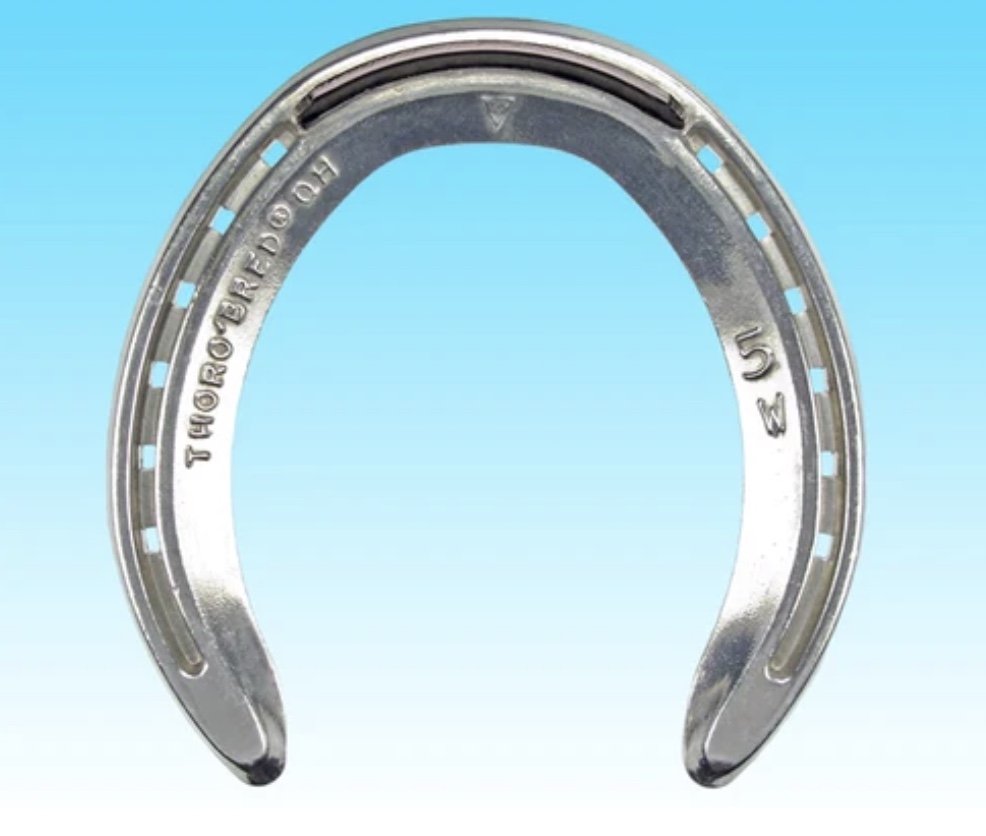 TB Quarter Horse Wide Web - Hind Side Clip