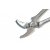 March - 14" Clincher