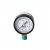 Pro Forge - Gauge