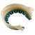 SoundHorse Series III - Universal Glue on Cuff 